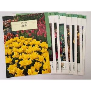 Gardening Made Easy Step-By-Step To A Beautiful Garden 7 Loose Cards Group 8